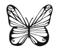 Semi-Permanent Tattoo - Small Butterfly