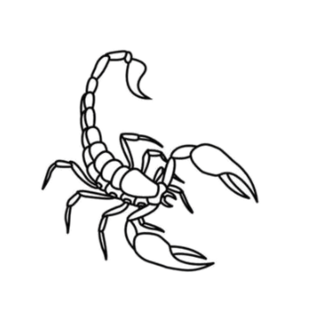 Tatouage semi-permanent - Scorpion