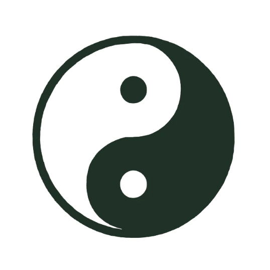 Tatouage semi-permanent - Yin Yang