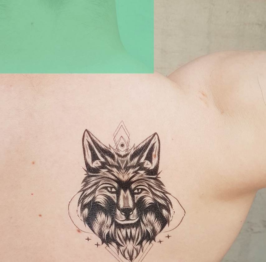 Rose Wolf, Sleeve tattoo, tribe, Werewolf, Wolf, Tattoo, visual Arts, small  To Medium Sized Cats, cat Like Mammal, dog Like Mammal | Anyrgb