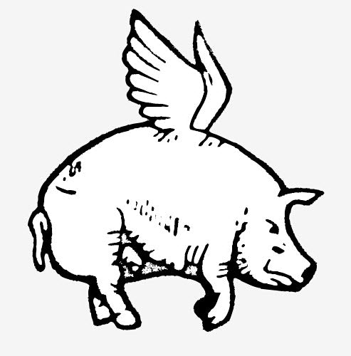 prompthunt: flying pig tattoo