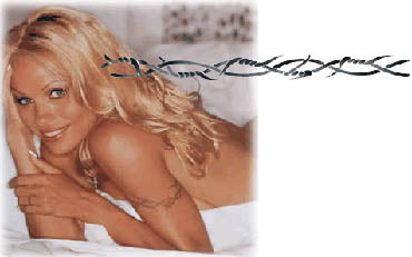 Pamela Anderson and Tommy Lee Sex Tape Tabloid Season Two  Rolling Stone