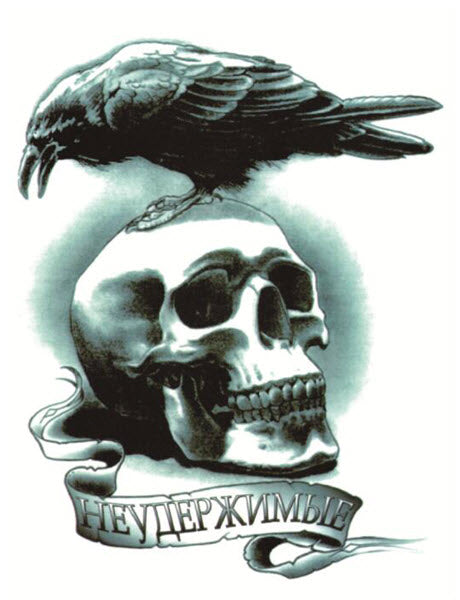 crow skull tattoo  Skull drawing Skeleton tattoos Bird tattoo sleeves