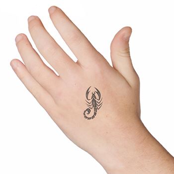 Scorpio Zodiac Sign Tattoo – Tattooed Now !