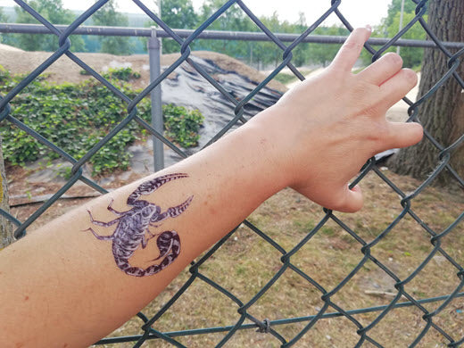 Amazon.com : Bluelans 3D Scorpion Temporary Tattoos Fashionable Fake Tattoos  Removable Waterproof Body Art Tattoo Stickers for Men Women Teens Girls  Boys (Scorpion) : Beauty & Personal Care