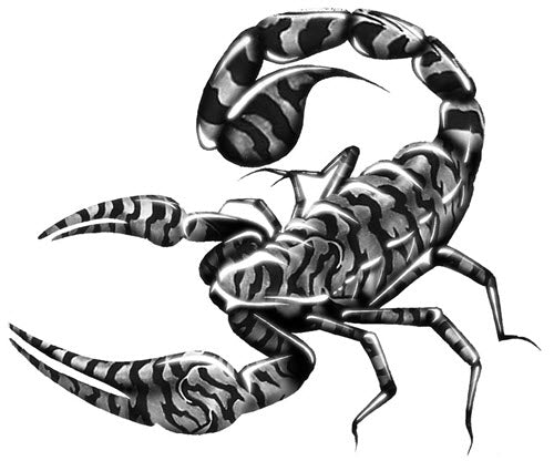 scorpion tattoo by Joe Riley: TattooNOW